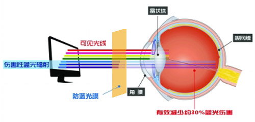 草莓视频污污污污最新科技成果 草莓色版APP免费下载成護眼利器